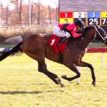 Laurel Park picks and ponderings: July 5, 2024
