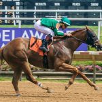 HISA touts second quarter decline in equine fatalities