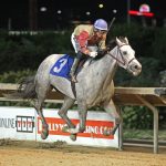 Dornoch connections thinking big after Haskell win