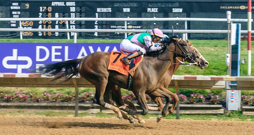 Delaware Oaks