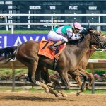 Trainer Nolan Ramsey get first stakes win in Ben’s Cat