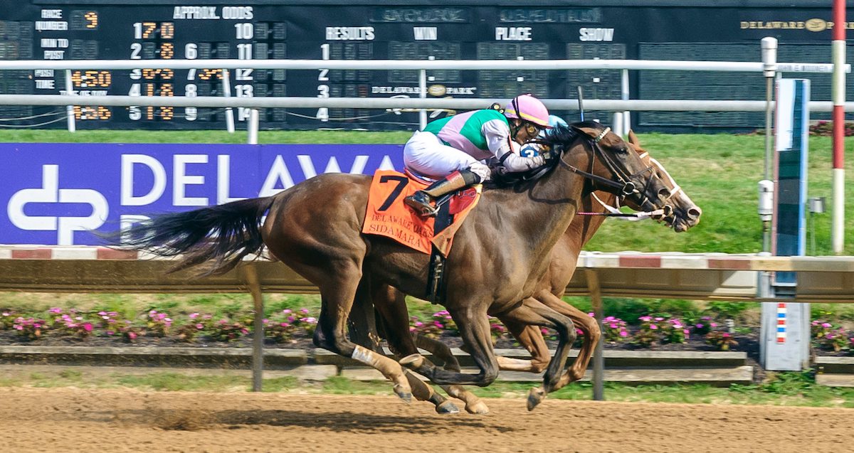 Delaware Oaks