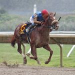 Riccio dominates rivals in Find Stakes