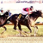 Spa selections 2024: Saratoga picks August 17
