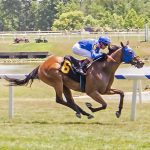 Delaware Park picks and analysis: July 18, 2025