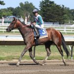 Virginia Derby gets 89 nominations