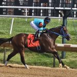 Crabs N Beer has to win Maryland Million Turf, right?