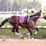 Laurel Park picks and ponderings: August 18, 2024