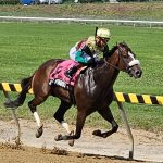 Spa selections 2024: Saratoga picks August 25