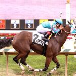 Laurel: Jockey JG Torrealba wins two stakes
