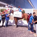 Laurel Park picks and ponderings: September 8, 2024