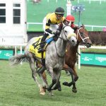 For Post Time, Polynesian could be stepping stone