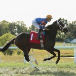 Bill Knauf to head Maryland Jockey Club