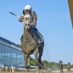 Charles Town picks and analysis: November 9, 2024