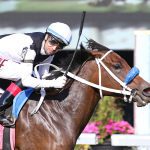 Delaware Park picks and analysis: September 19, 2024