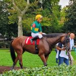 Delaware Park picks and analysis: September 18, 2024