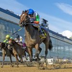 CNL: Audley Farm well represented in weekend stakes