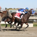 Which horses had the best Delaware Park meets?