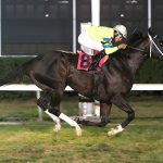 Witty pointed to Maryland Million Turf Sprint defense