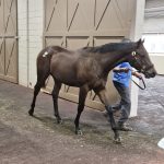 Post Time headed to Breeders’ Cup Dirt Mile