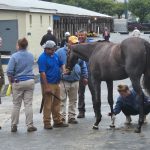 Maryland Million draws 270 pre-entries