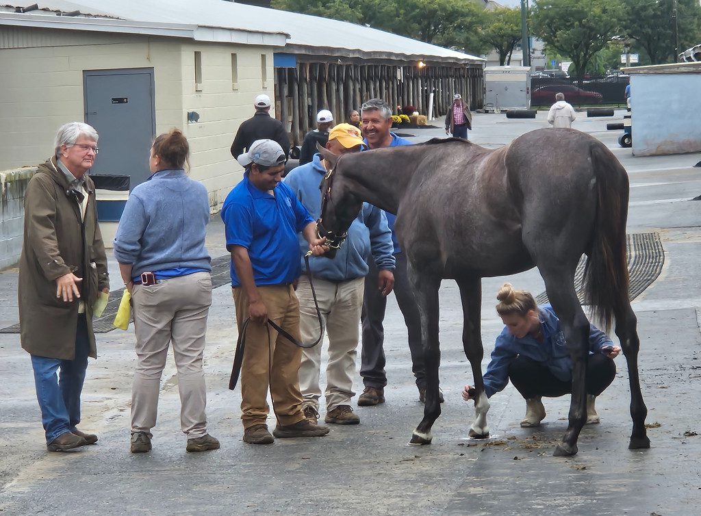 Fasig-Tipton