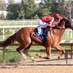 Cathy Schmidt to receive Joe Kelly Unsung Hero Award