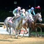 Delaware Park picks and analysis: October 16, 2024