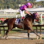 Do It for Michael, Shkhara Fire score emotional Million wins