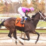 The story of Post Boy, the great Maryland horse