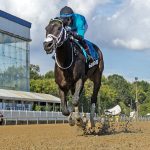 Delaware Park picks and analysis: October 2, 2024