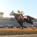 Laurel: Thanksgiving pies and Friday stakes on tap