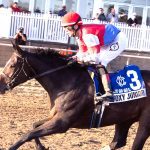 Back home, Post Time could target Cigar Mile