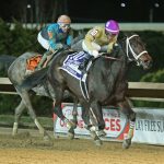 Grade 3 winner Warrant to stand at Murmur Farm