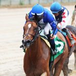 Sheilahs Warcloud seeks breakthrough in Safely Kept