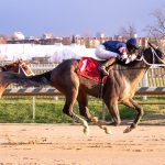 Sheilahs Warcloud seeks breakthrough in Safely Kept