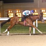 Rider Angel Castillo gets 1,000th win