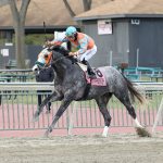 Laurel Park picks and ponderings: December 6, 2024