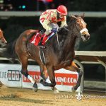 Midlantic stakes thumped by graded stakes committee