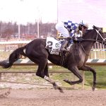 Spencerian gets first stakes win in Politely