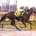 Laurel Park picks and ponderings: December 28, 2024