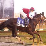 Three wins for Torrealba as Laurel Park meet concludes