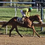 Laurel Park kicks off new era Friday