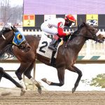 Thorpedo Anna wins Horse of the Year