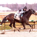 Art of Racing competition returns for Preakness 150