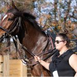 Inglis Digital Feb. sale to include PA-bred session