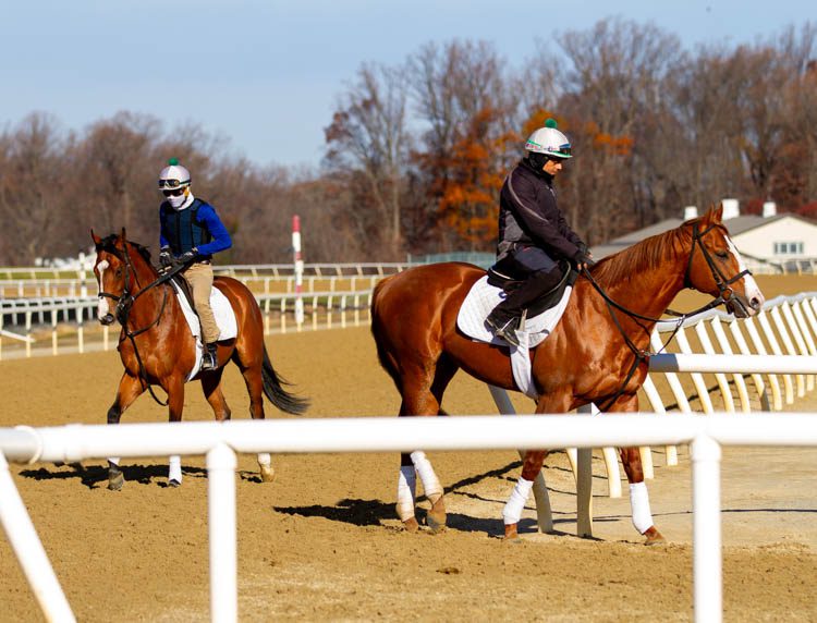 Fair Hill Training Center