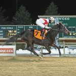 15 Midlantic-breds among Triple Crown nominees