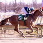 Charles Town picks and analysis: February 1, 2025
