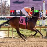 Charles Town picks and analysis: February 8, 2025